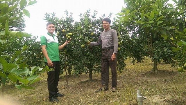 Xây dựng hệ thống đại diện chính hãng bán hàng Tiến Nông và kết quả đạt được tại Thái Nguyên5