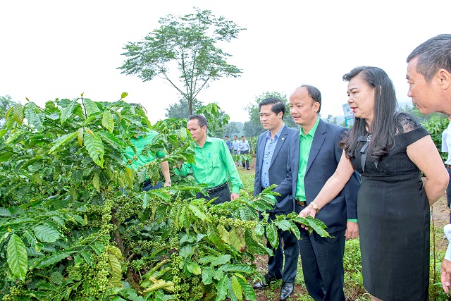 Nông tổ chức hội nghị chuyên đề “Canh tác và giải pháp sử dụng đồng bộ dinh dưỡng Tiến Nông cho cây cà phê