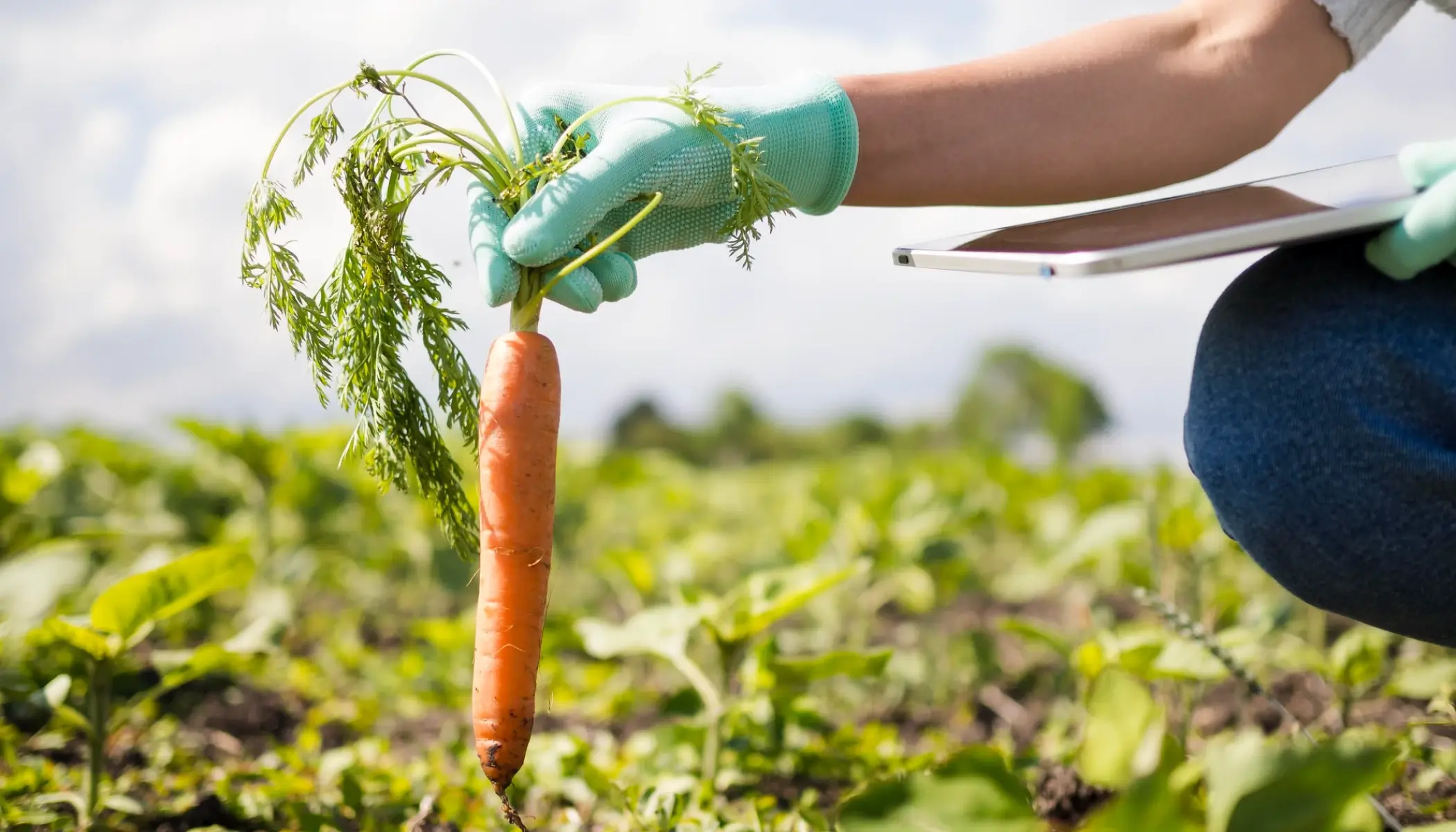 The Agri-Tech Revolution: How Drones and AI Are Reshaping Farming