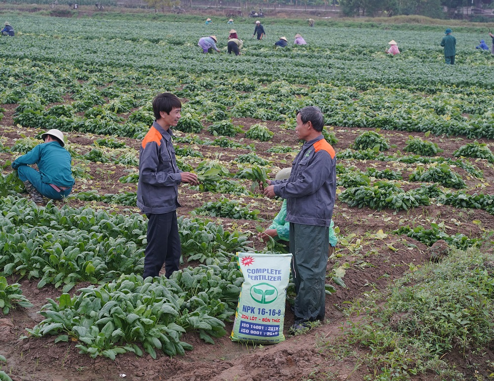 Nông dân Tiến Nông sôi nổi khí thế sản xuất đầu năm mới